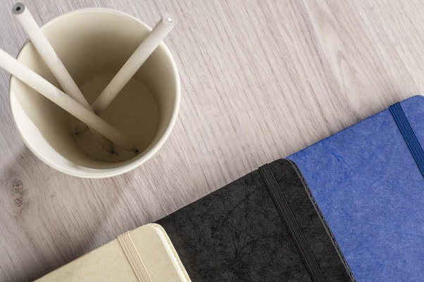 Notes TERE 17859-17 Beżowy