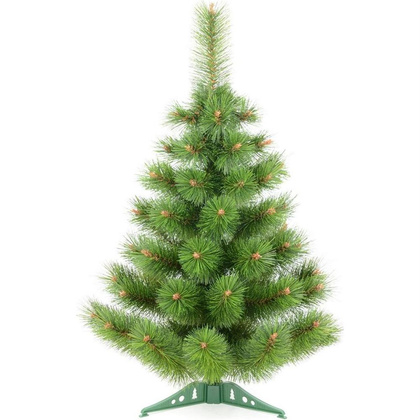 CHOINKA ŻYŁKA KLARA NIEROZCZEPIONA 50CM