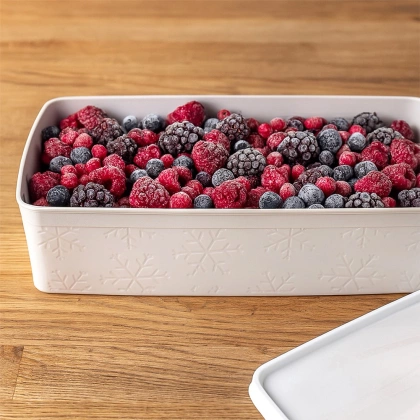 Pojemnik na żywność z pokrywką beżowy 2 l