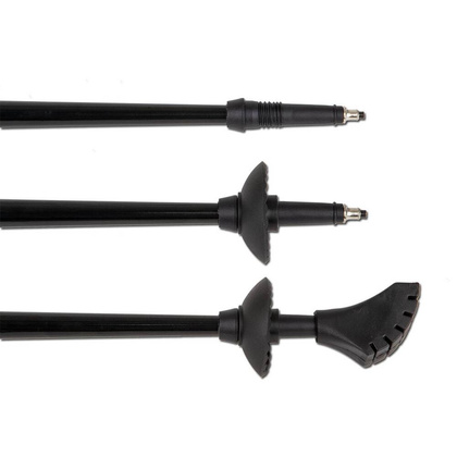 Kije nordic walking BEST SPORTING 2-sekfencje