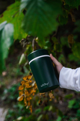 Termos obiadowy 500ml FUORI zielony 27749