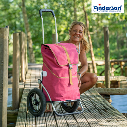 Wózek na zakupy ANDERSEN Royal 165 Auke