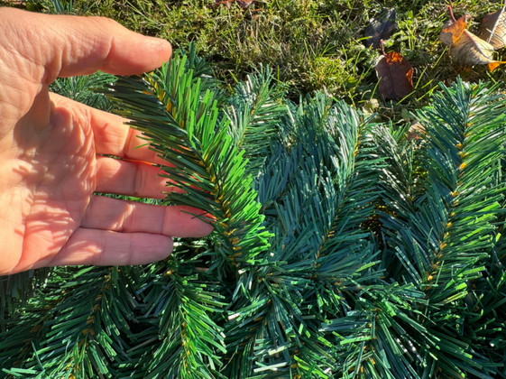 Girlanda choinkowa 2.7m Ruhhy 26243