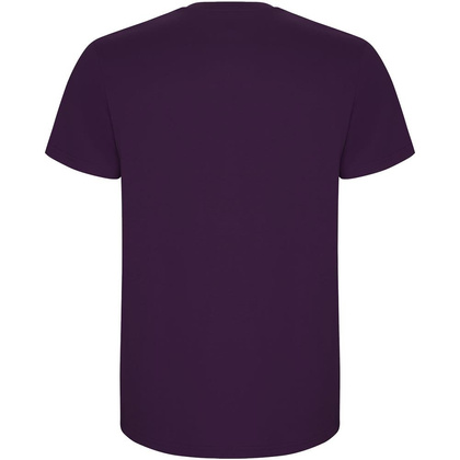 Stafford koszulka męska z krótkim rękawem