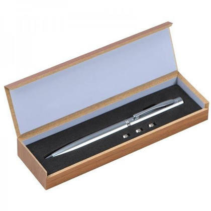 Wskaźnik laserowy metalowy DETROIT Srebrny