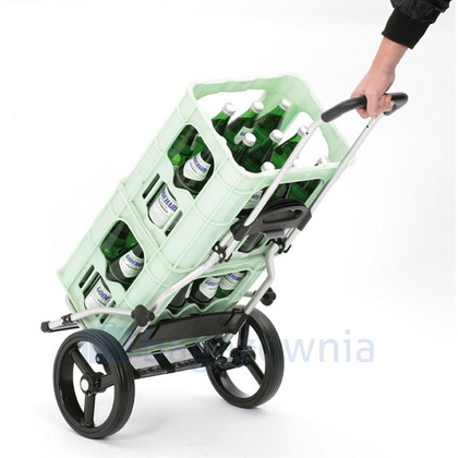 Wózek na zakupy ANDERSEN Royal 166 Senta 166-028-22 Szary