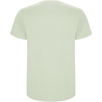 Stafford koszulka męska z krótkim rękawem