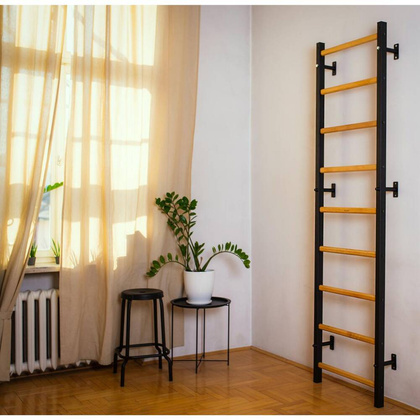 Wielofunkcyjna drabinka BenchK 713B