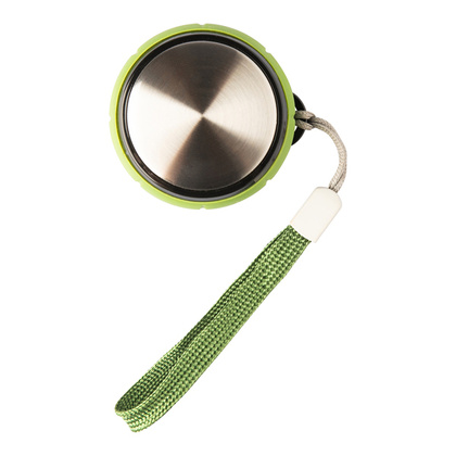 Szklana butelka z zaparzaczem do herbaty Sulmona 550 ml Zielona