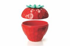 Pojemnik do przechowywania Storeberry czerwony 10243-RD