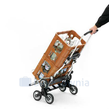 Wózek na zakupy ANDERSEN Royal 6 Senta 169-028-22 Szary