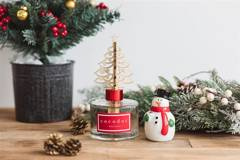 Dyfuzor zapachowy 120ml Gwiazda Betlejemska Joyful Season PDI31470