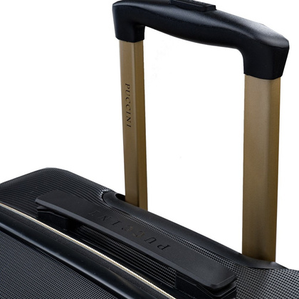 Średnia walizka PUCCINI LOS ANGELES ABS017B 8 Szara