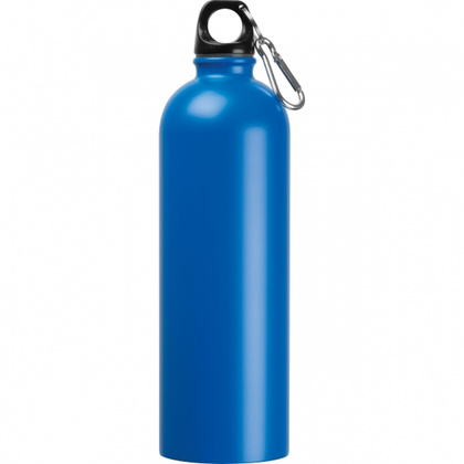 Butelka stalowa OSTROV 750 ml