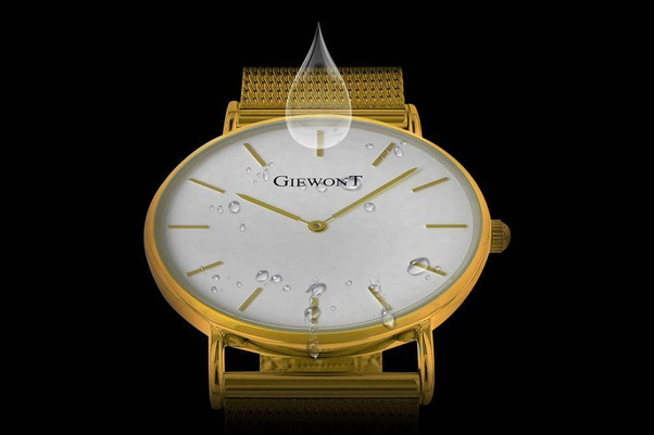 Zegarek Damski GIEWONT GW1970-1