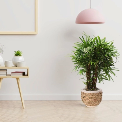 Doniczka osłonka pleciona na kwiaty rośliny 26x21 cm