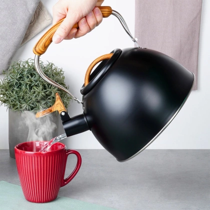 Czajnik z gwizdkiem stalowy czarny 2,5 l