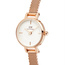 ZEGAREK DAMSKI DANIEL WELLINGTON Petite Mini Rose Gold Stainless Steel 19mm DW00100744 + BOX (zw523c)