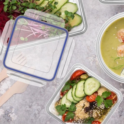 Pojemnik plastikowy 300ml KWADRAT SAVER BOX z pokrywką