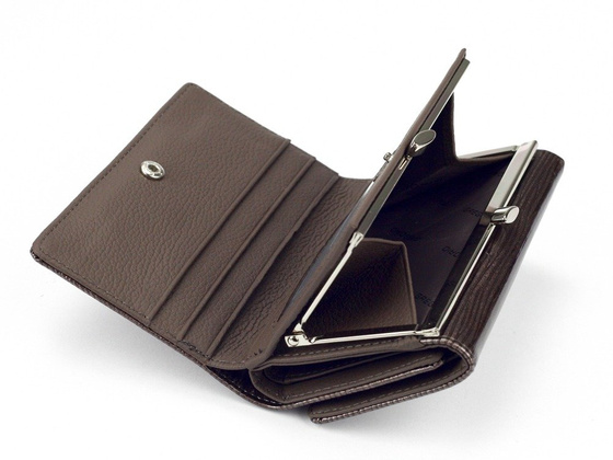 Portfel damski skórzany PELLUCCI LN-108 Popiel