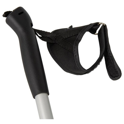 Kije nordic walking BEST SPORTING 2-sekfencje