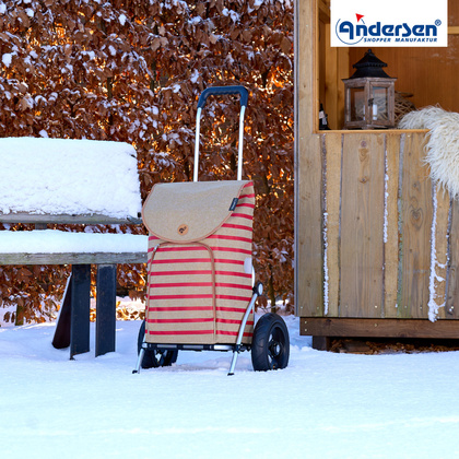 Wózek na zakupy ANDERSEN Royal 162 Eske