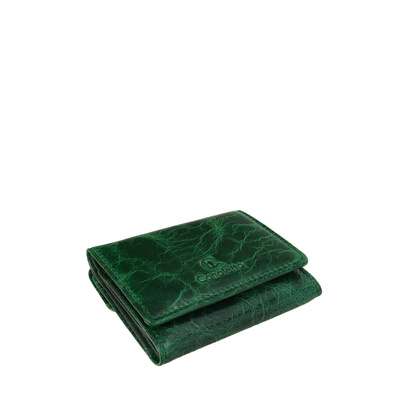 Mały portfel damski Canaletto ze skóry naturalnej licowej – elegancja i funkcjonalność PD2001s257