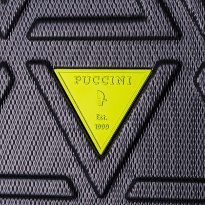 Średnia walizka PUCCINI CALIFORNIA ABS018B 8 Szara