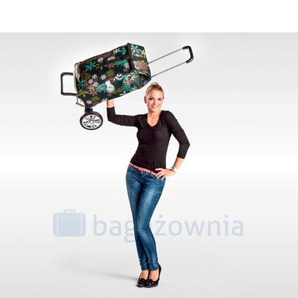 Wózek na zakupy ANDERSEN Alu Star Sofia 115-202-80