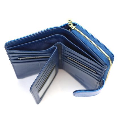 Portfel damski skórzany PELLUCCI BTS-116 Popiel