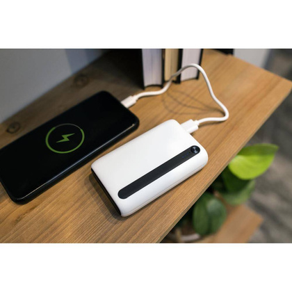 Power bank 10000 mAh | Dashonte