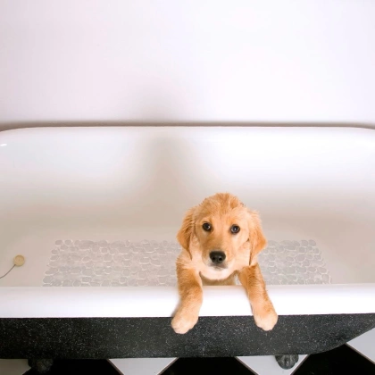 Mata podkładka antypoślizgowa łazienkowa do brodzika wanny pod prysznic 70x35 cm