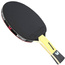 Rakietka do ping ponga Butterfly Timo Boll SG55 85022