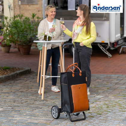 Wózek na zakupy ANDERSEN Alu Star Charu