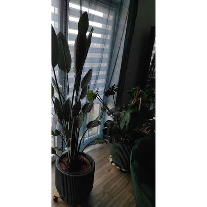 DONICZKA DO KWIATÓW MILLY ŚR 24CM JASNY SZARY