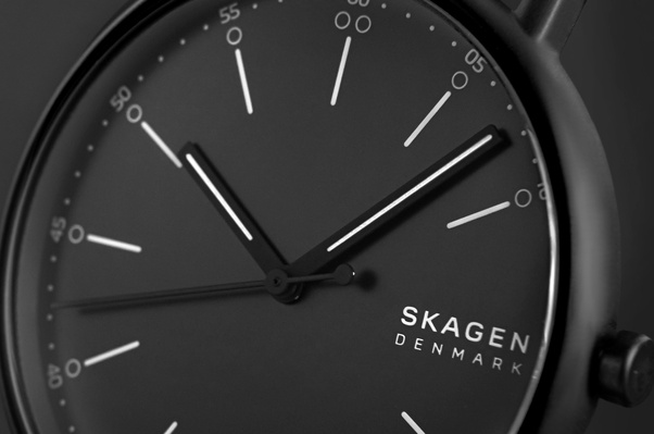 Zegarek Męski Skagen Signatur SKW6902 + BOX