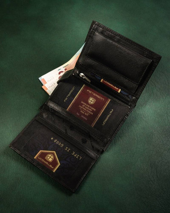 Elegancki, skórzany portfel męski
