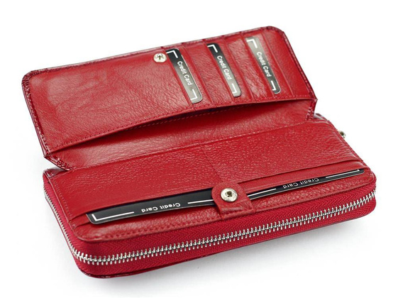 Portfel damski skórzany PELLUCCI PT-111 Popiel