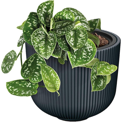 DONICZKA DO KWIATÓW MILLY ŚR 24CM JASNY SZARY