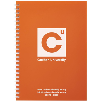 Notatnik Rothko w formacie A5