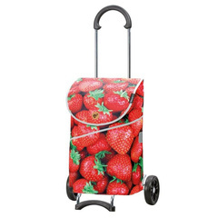 Wózek za zakupy ANDERSEN Scala MIX 112-333-A30