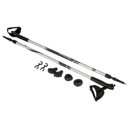 Kije nordic walking BEST SPORTING 2-sekfencje