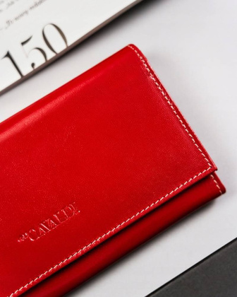 Elegancki, podłużny portfel damski z klapą na zatrzask