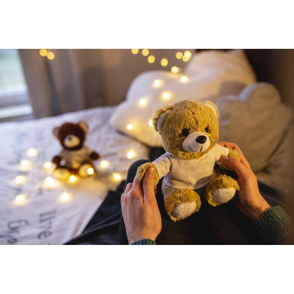 Pluszowy miś Roger Brown