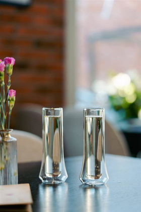 Komplet 2 kieliszków do szampana z podwójną ścianką Soho 140 ml 8906