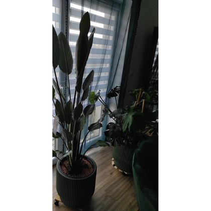 DONICZKA DO KWIATÓW MILLY ŚR 24CM MIEDZIANY