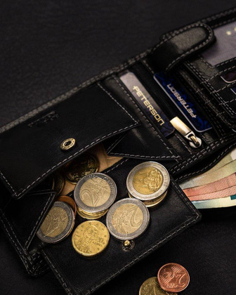 Portfel skórzany PTN WL-0305L-COM