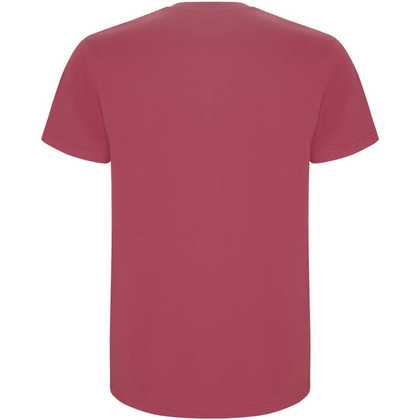 Stafford koszulka męska z krótkim rękawem