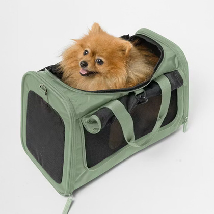 Transporter dla zwierząt PUCCINI BARBADOS BP50251 5A Zielony