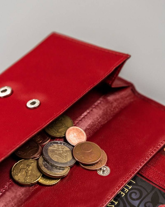 Wielokolorowy, skórzany portfel damski na zatrzask